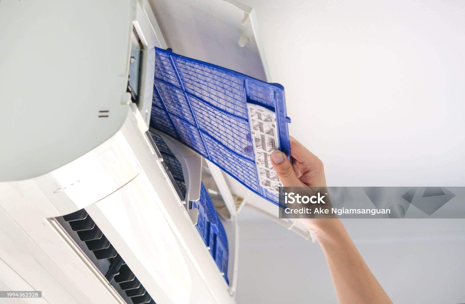 istockphoto 1994362328 2048x2048 1